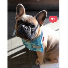 Load image into Gallery viewer, Tilly the French Bulldog
